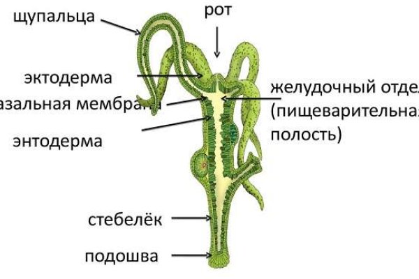 Сайты продаж наркотиков